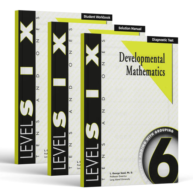 Level 6 E-Book Set | 1st Grade - 2nd Grade Math Curriculum | Tens & Ones: Adding and Grouping